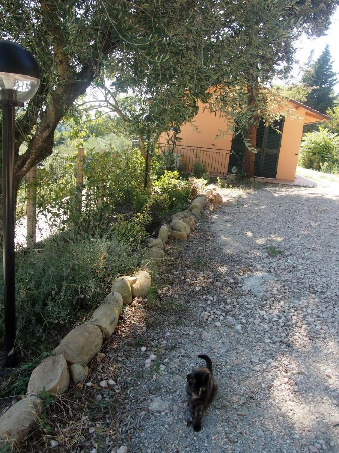 Agriturismo Ardizio 43 佩萨罗 外观 照片