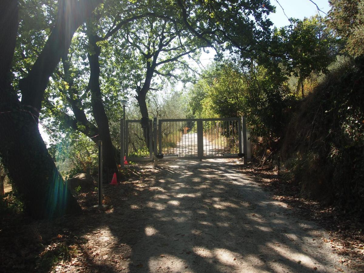 Agriturismo Ardizio 43 佩萨罗 外观 照片