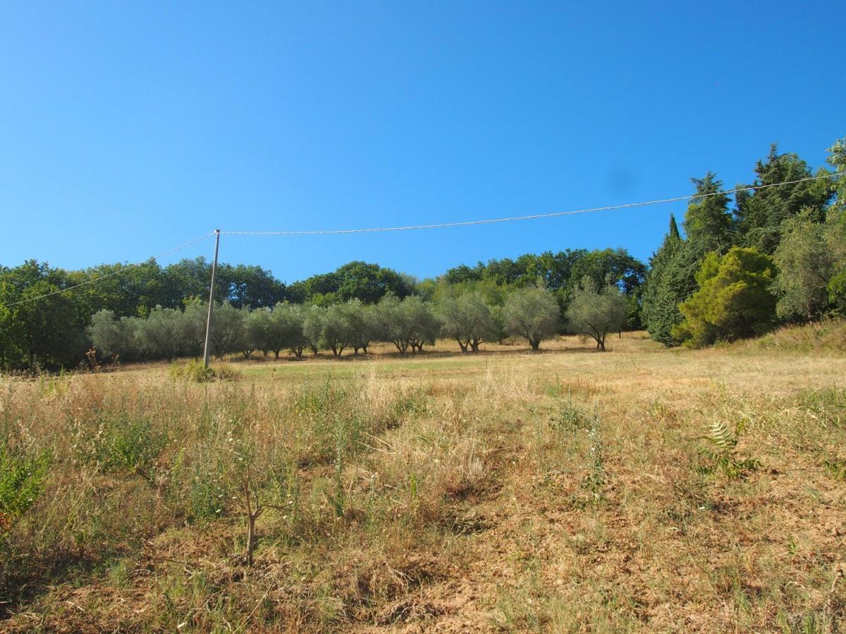 Agriturismo Ardizio 43 佩萨罗 外观 照片