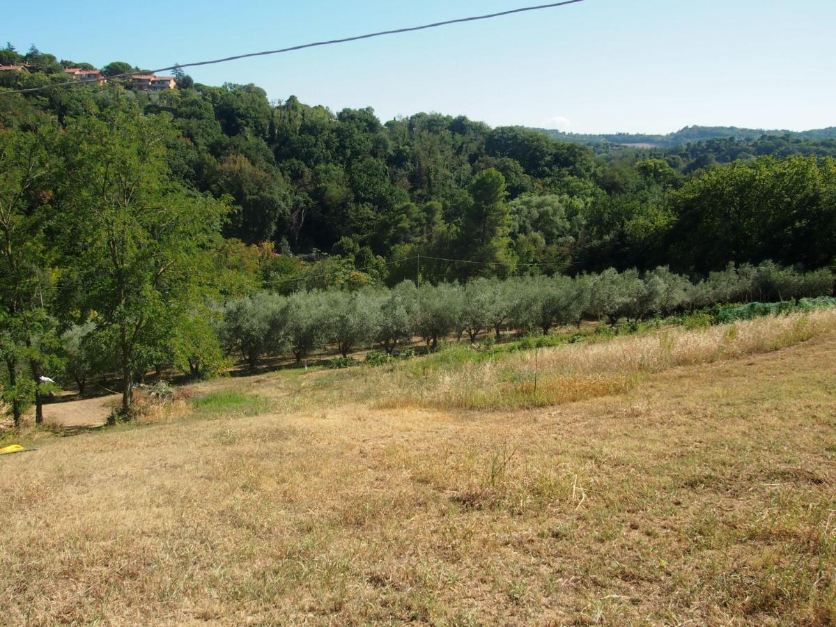 Agriturismo Ardizio 43 佩萨罗 外观 照片